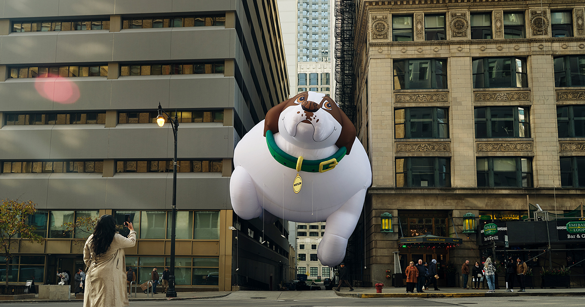 A giant dog balloon stuck between two buildings