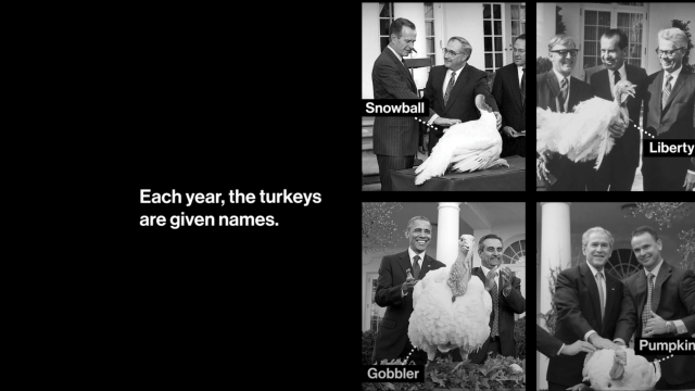Alt Image Text